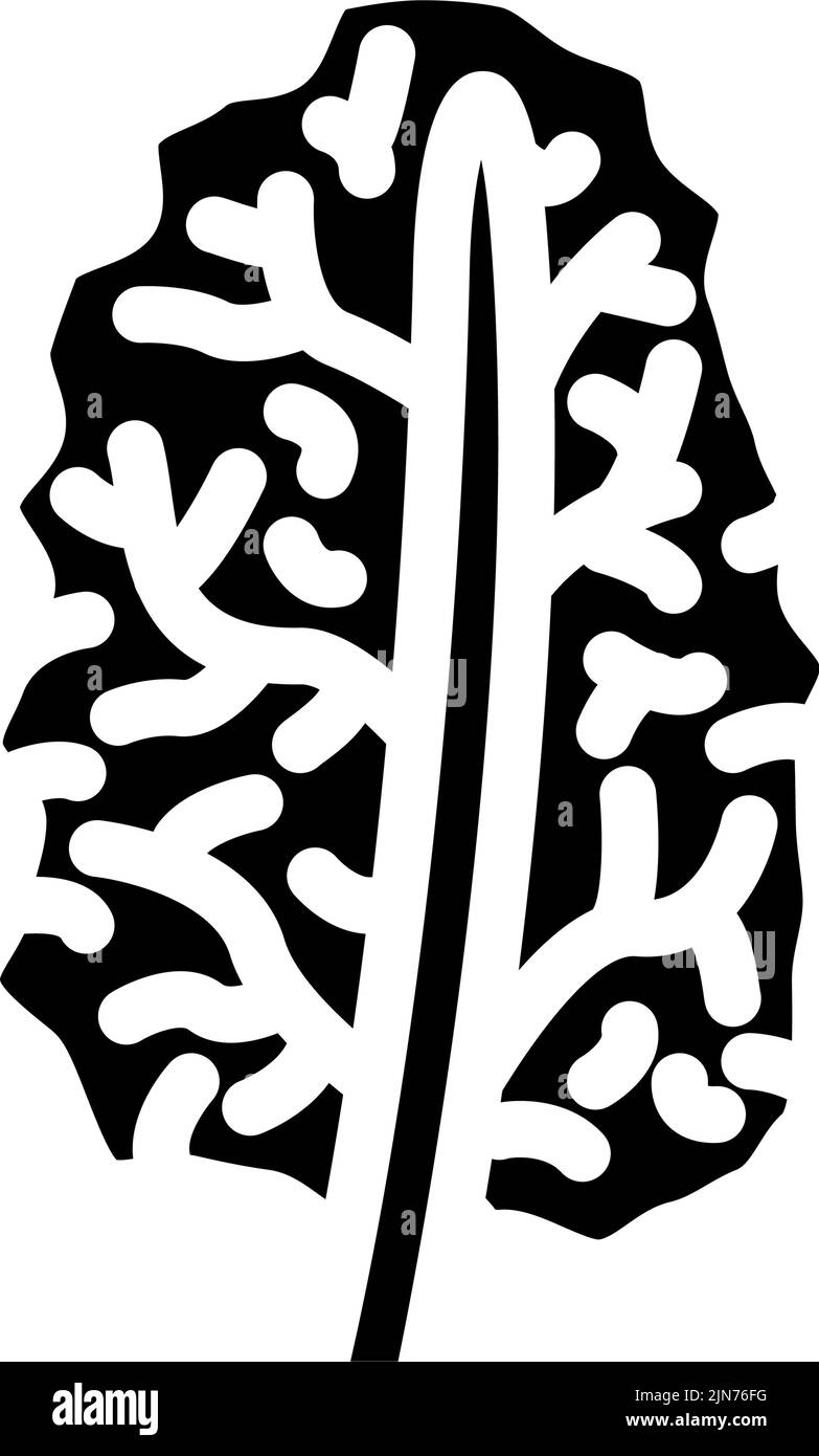illustrazione del vettore dell'icona del glifo di cavolo di kale Illustrazione Vettoriale