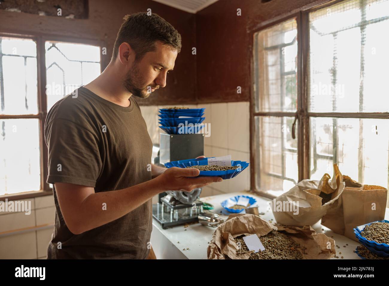 Il livellatore maschio sta preparando le attività di cupping del caffè Foto Stock