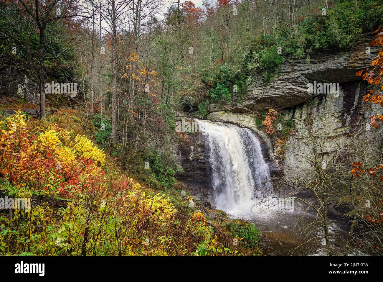 Il fogliame dai colori luminosi aggiunge un tocco di colore all'area circostante che guarda le Glass Falls nella Carolina del Nord. Foto Stock