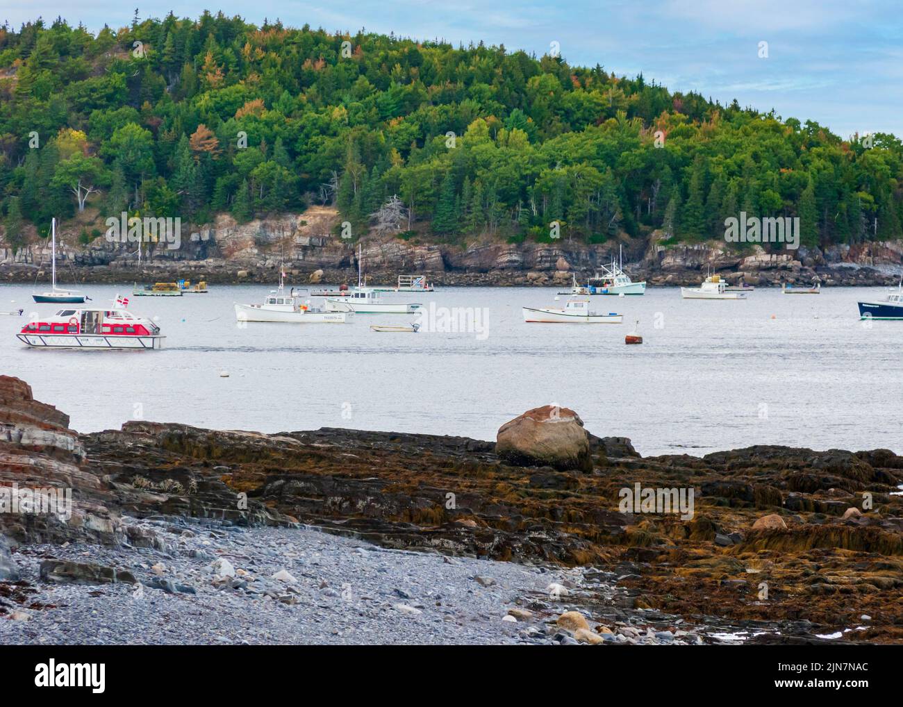 Aragoste e barche da diporto ancorate nella baia di Frenchman del Monte Desert Island, Bar Harbor, Maine, USA. Foto Stock