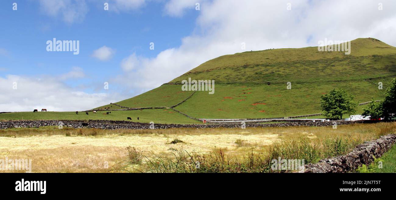 Paesaggio rurale con collina vulcanica sulla Route EN3-1A, Terceira Island, Azzorre, Portogallo Foto Stock