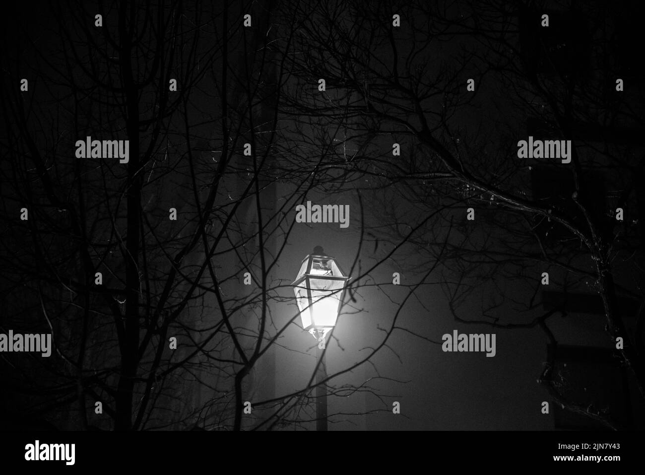 Nebbia in una notte di Torino Foto Stock