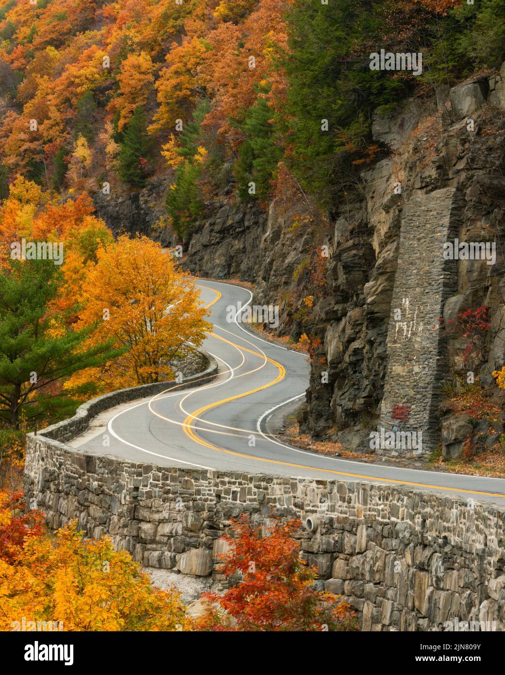 Una strada tortuoso lungo il fiume Delaware, New York. Foto Stock