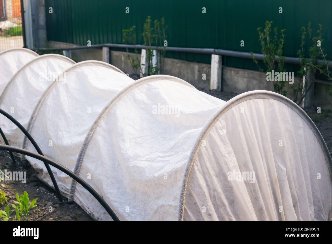 Effetto serra del tunnel di sfocatura. Una piccola serra in agro-fibra. Serra in giardino per la coltivazione di ortaggi. Arco cornice plastica. Verde e vege Foto Stock