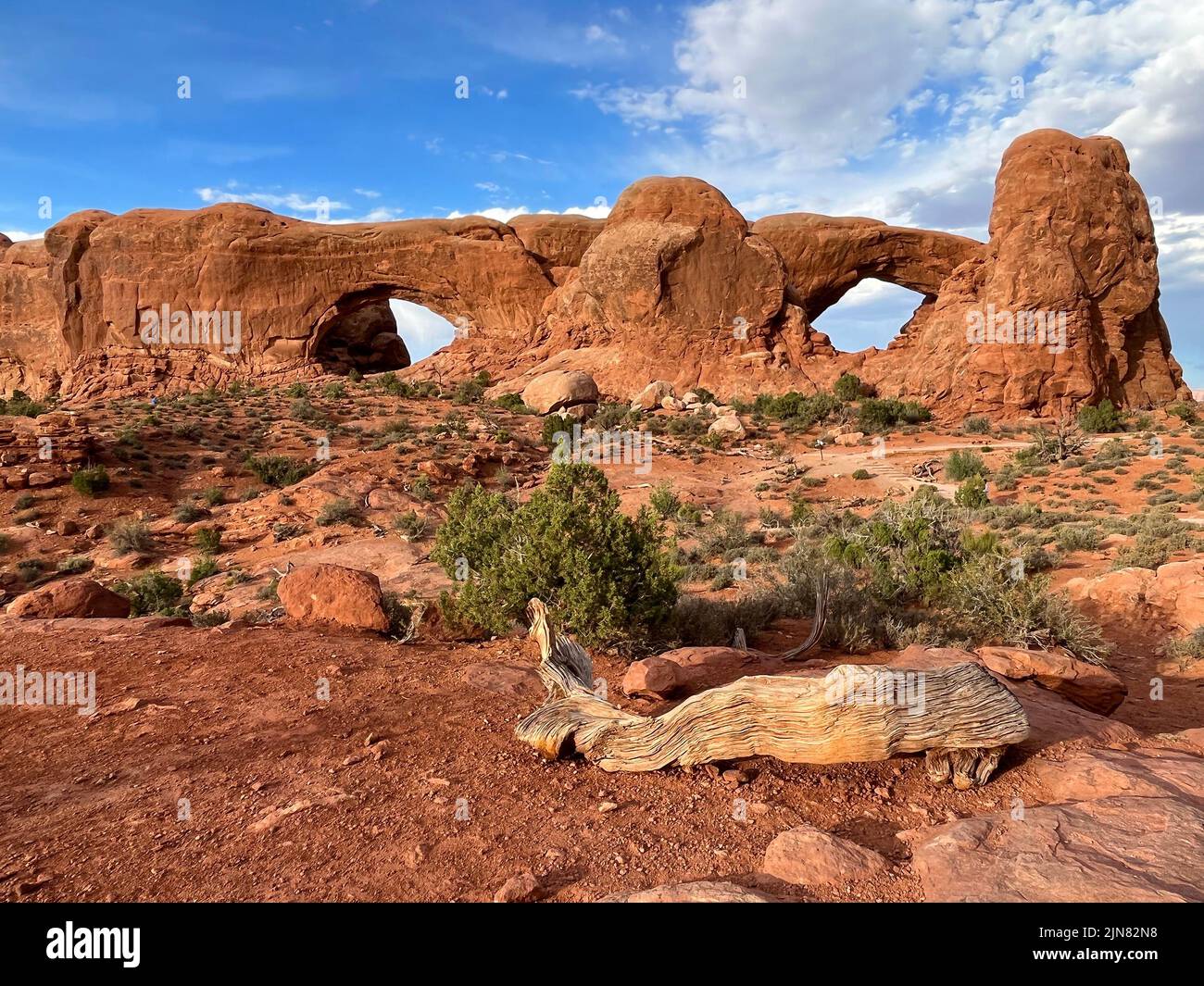 South Arch e North Arch in Windows Section, Arch National Park, Utah Foto Stock