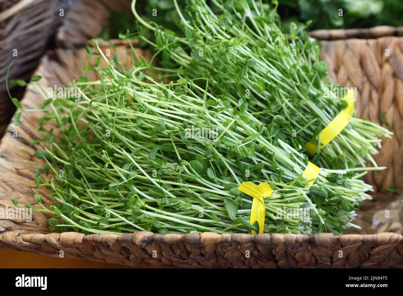 I piselli sparano per la vendita al mercato dell'agricoltore Foto Stock