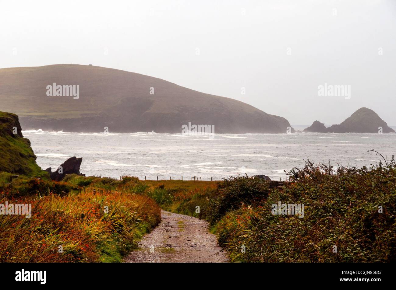 Strada per Dunquin Harbor e le Isole Blasket sulla Dingle Peninsuala in Irlanda. Foto Stock