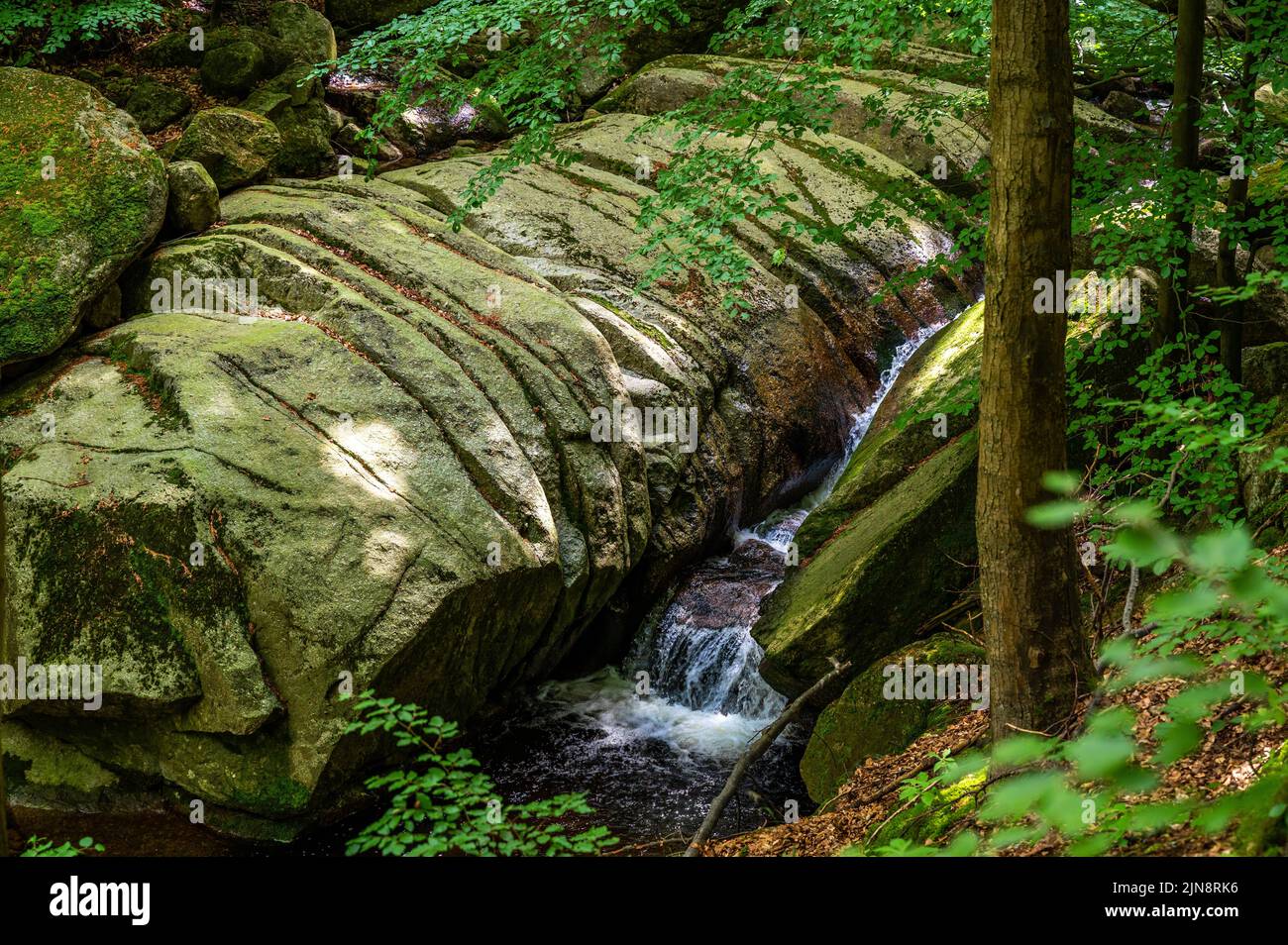 Cascata sul torrente Bily Stolpich, linea regolare sul grande masso, riserva naturale nazionale Jizera montagna Beechwoods (UNESCO) vicino alla città di Hejnice, Czechia Foto Stock