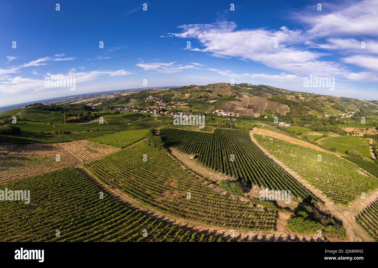 Piantagioni di vigneti, vista panoramica aerea nord Italia. Cielo blu, nuvole, colline di campagna in estate Foto Stock