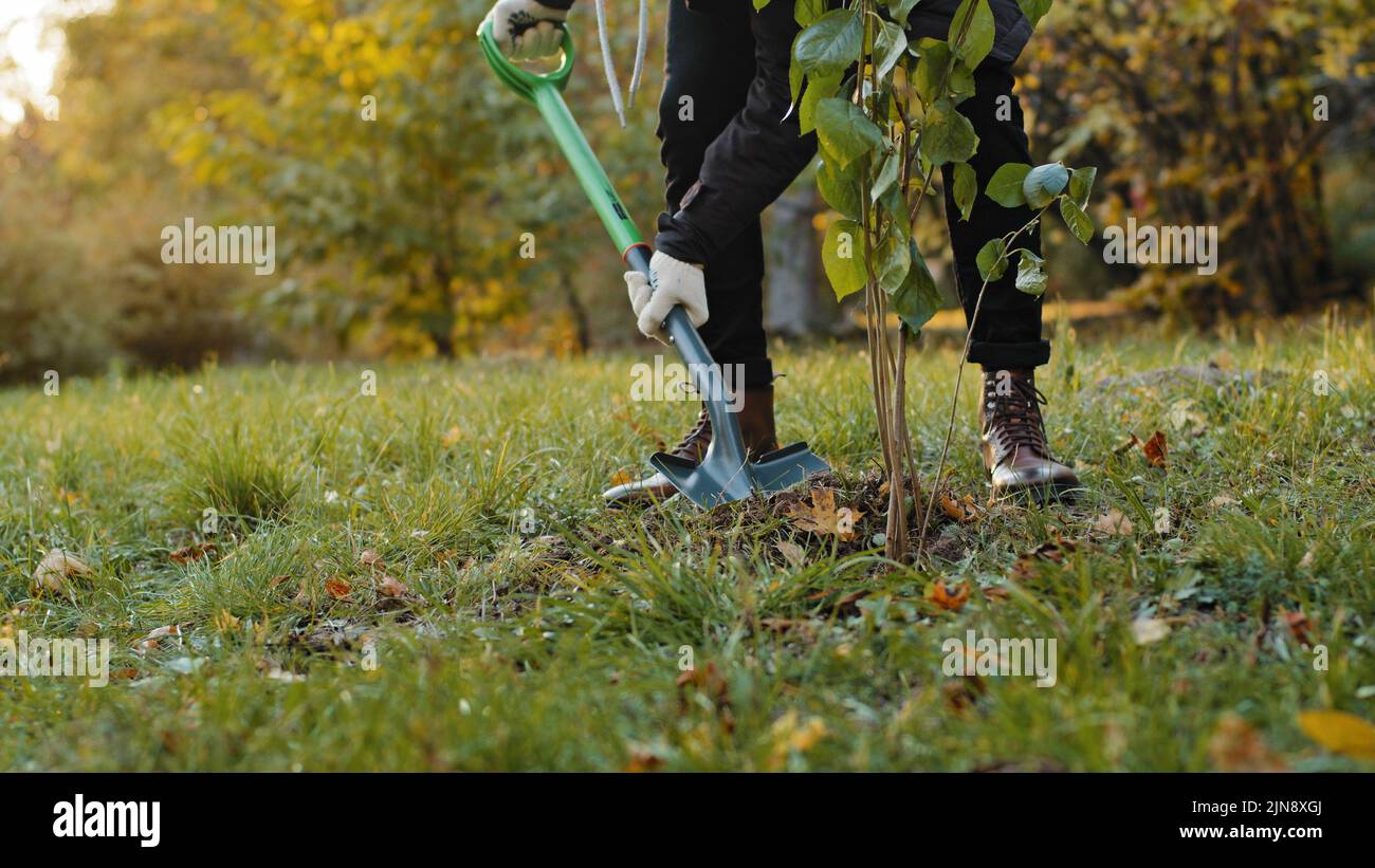 Primo piano irriconoscibile uomo eco attivista volontario di progetto sociale a sostegno della natura piantando albero seppellendo giovani piantine in terra utilizzando pala Foto Stock