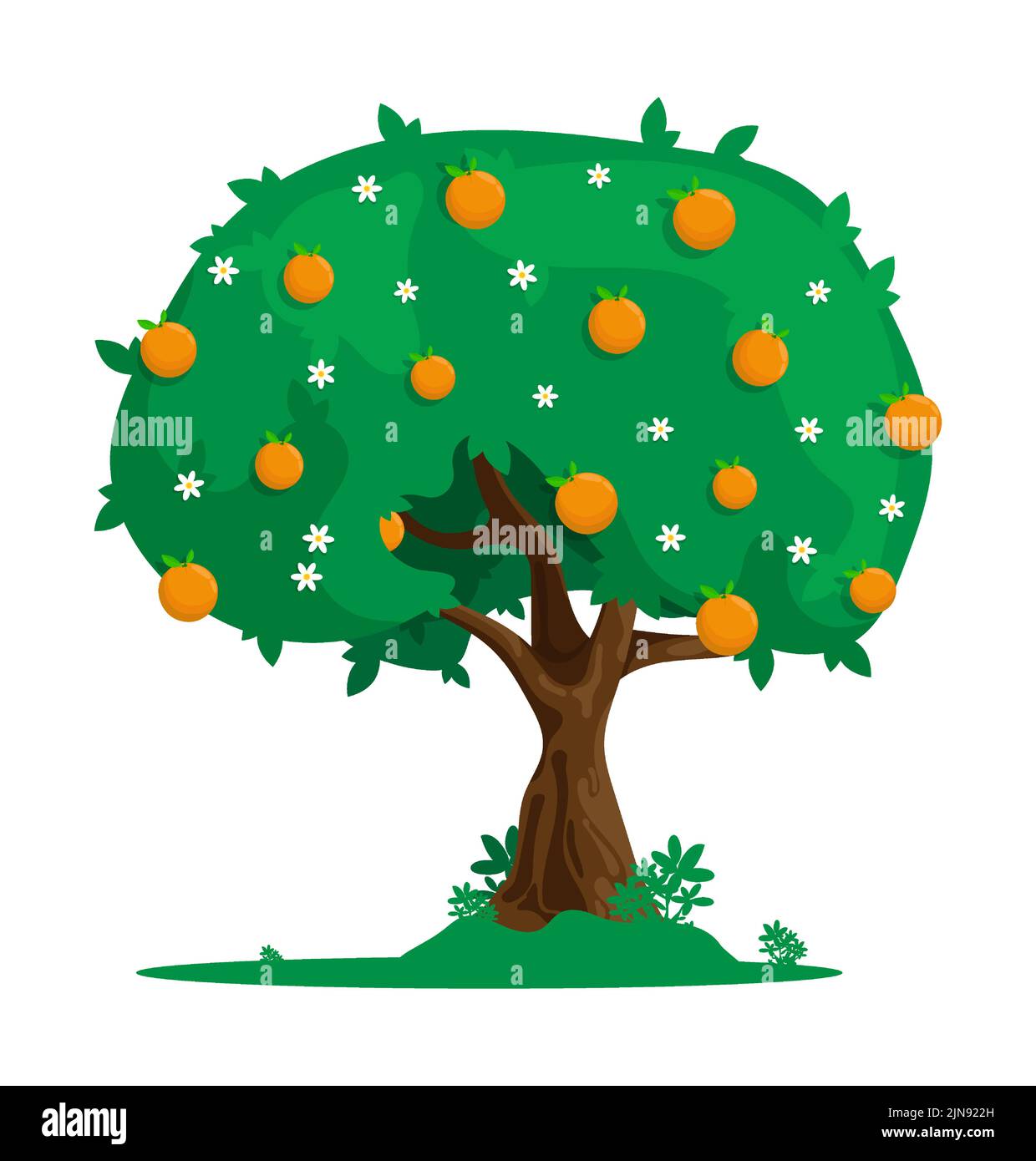 Cartoon arance con agrumi. Raccolta di frutti esotici. Vettore piatto isolato su sfondo bianco Illustrazione Vettoriale