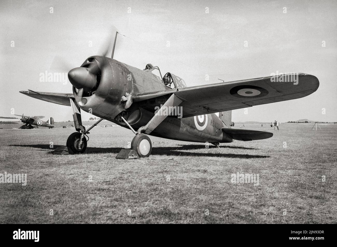 Un aereo Fleet Air Arm Brewster Buffalo si prepara per il decollo. Un aereo da combattimento americano che ha visto il servizio all'inizio della seconda guerra mondiale, era uno dei primi monoplani statunitensi con un gancio di arresto e altre modifiche per i vettori aerei. Sullo sfondo è visibile un Lysander Westland. Foto Stock