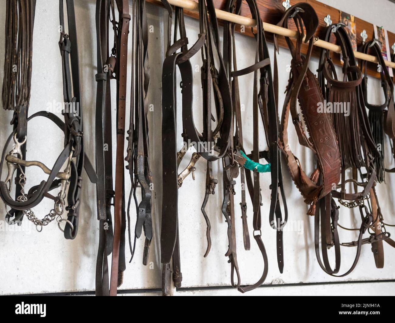 Una serie di attrezzature a cavallo appese a una parete Foto Stock