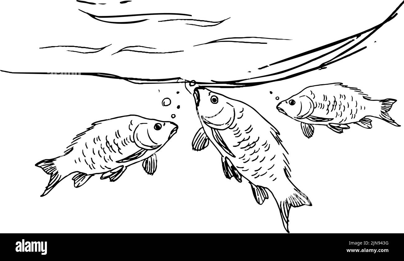 Tre grandi carpe nuotano nel lago Illustrazione Vettoriale