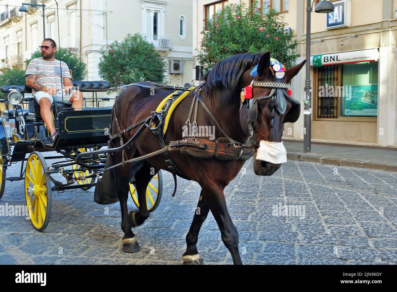 Carrozza, Palermo, Sicilia, Italia, Europa Foto Stock