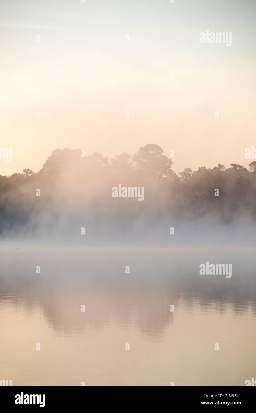Una nebbia si sposta sullo stagno mentre il sole illumina gradualmente il cielo, la scena offrendo un momento di serenità e di riflessione. Foto Stock