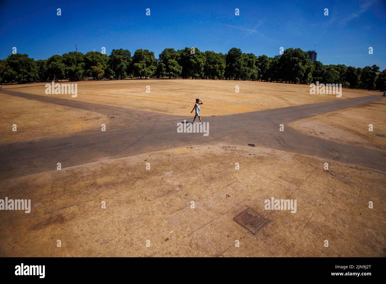 Londra, Regno Unito. 10th ago 2022. Molto caldo in un vicino deserto Londons Hyde Park a pranzo. L'erba è arroccata dopo il luglio più arido dal 1935. Da domani, per alcune parti del paese, sono stati emessi allarmi termici estremi. Credit: Karl Black/Alamy Live News Foto Stock