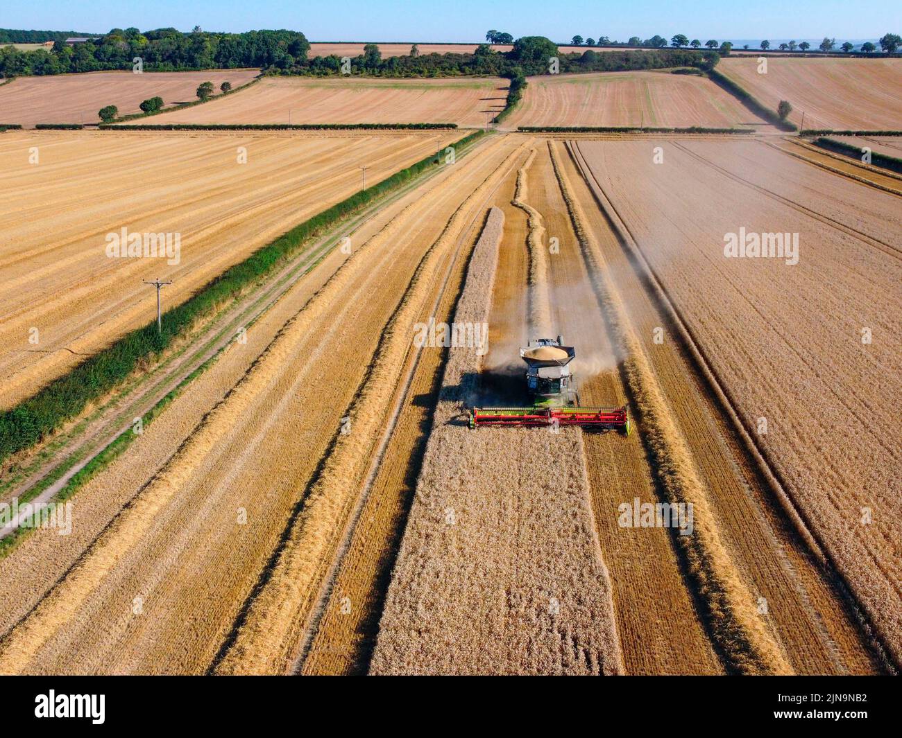 Vista aerea di una mietitrebbia in un paesaggio di campi di grano su terreni agricoli nel North Yorkshire nel Regno Unito. Foto Stock