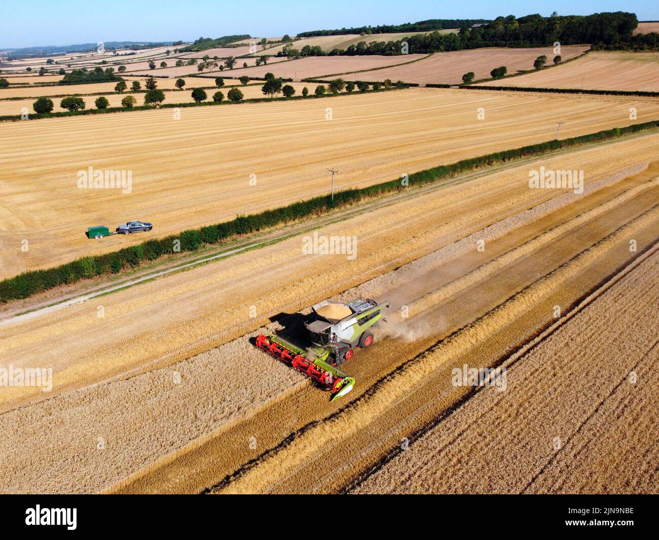 Vista aerea di una mietitrebbia in un paesaggio di campi di grano su terreni agricoli nel North Yorkshire nel Regno Unito. Foto Stock