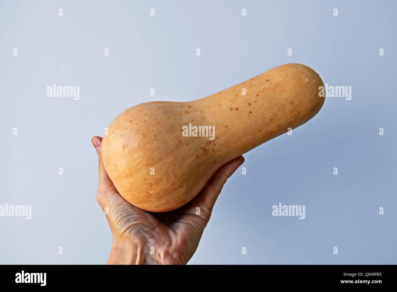 Zucca di butternut a portata di mano su uno sfondo luminoso Foto Stock