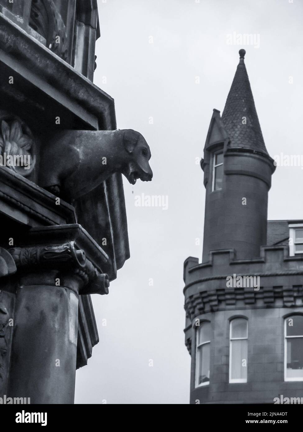Architettura vittoriana di Aberdeen Scozia in bianco e nero Foto Stock