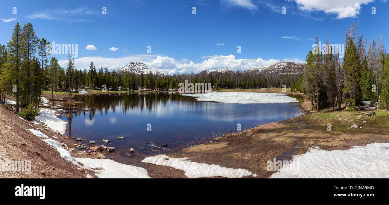 Lago circondato da montagne e alberi nel paesaggio Amercian. Foto Stock