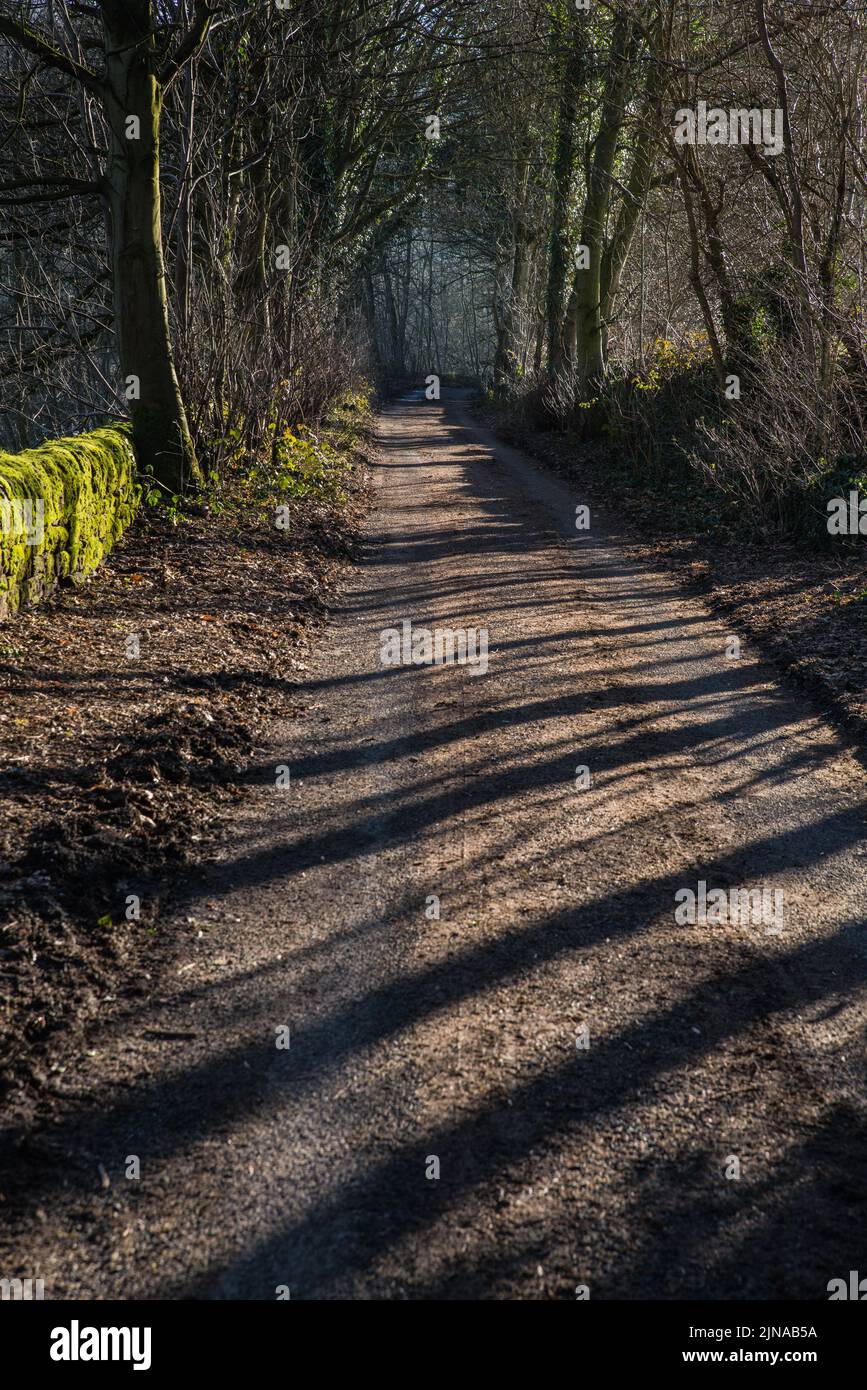 Wyver Lane a Belper, Derbyshire, Regno Unito, in una mattinata soleggiata con lunghe ombre che causano strisce chiare e scure lungo la corsia Foto Stock