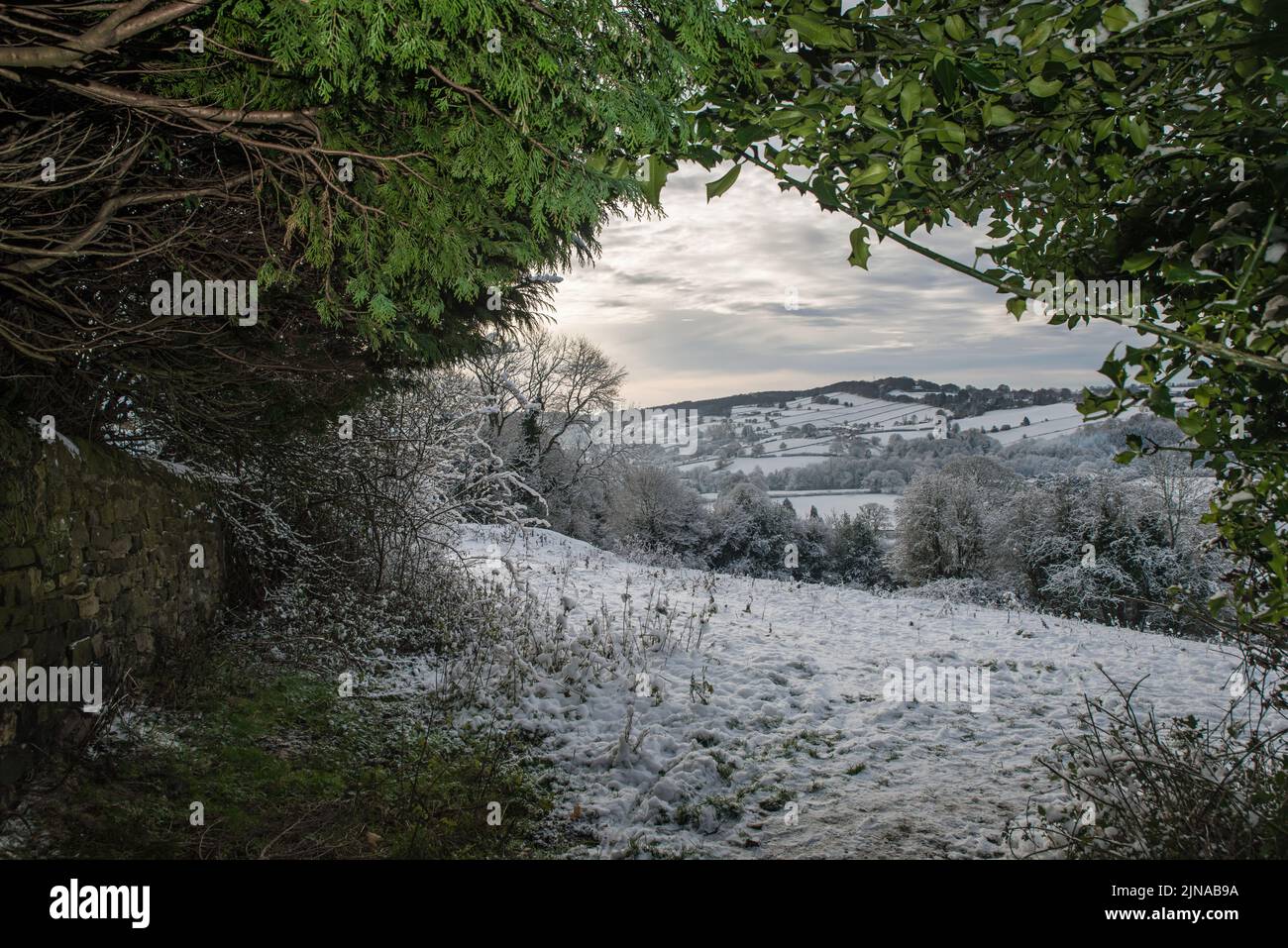 Un paesaggio innevato vicino a Belper nel Derbyshire, Regno Unito gelato da alberi sempreverdi Foto Stock