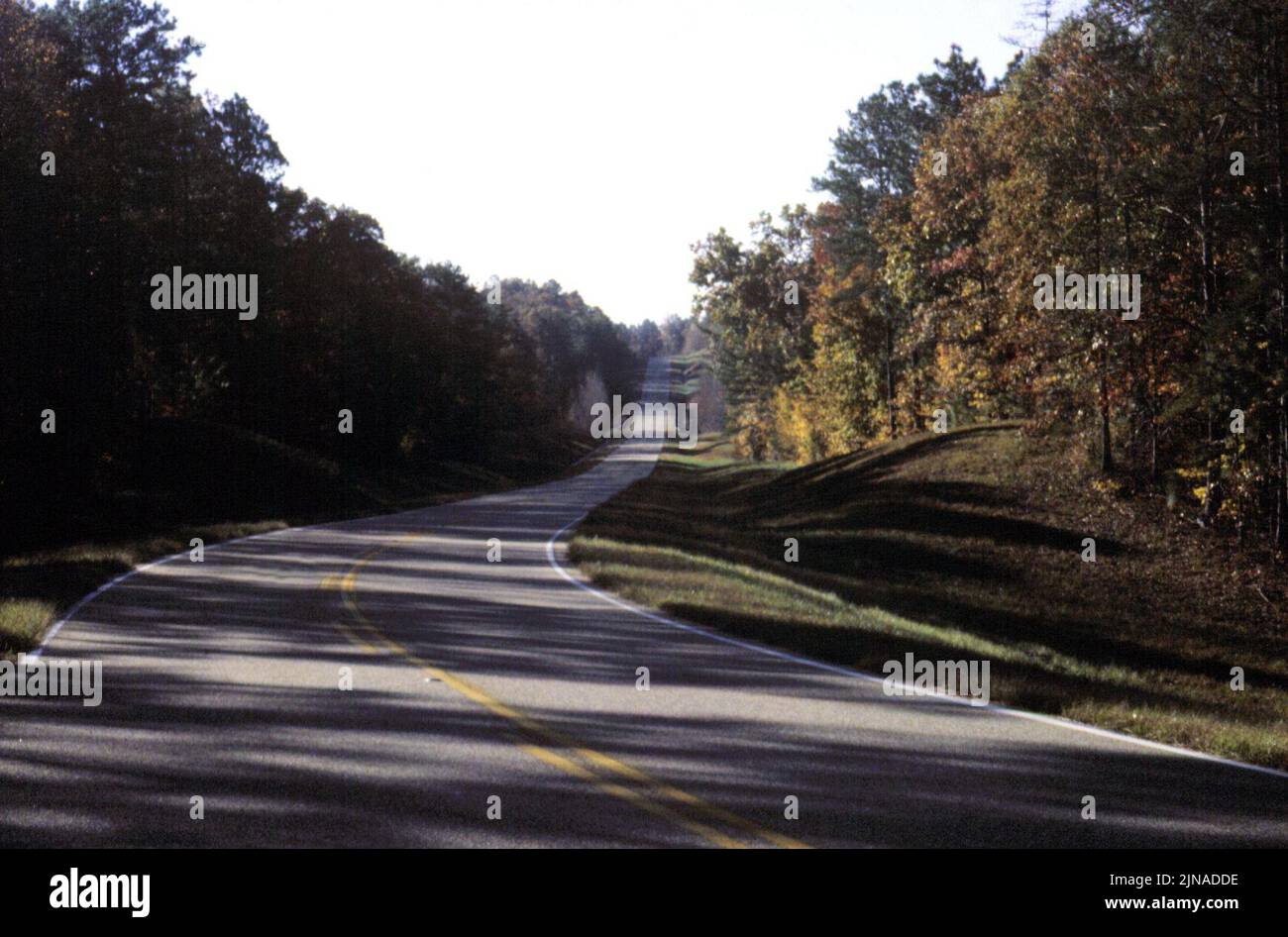 Talladega Scenic Drive - si snoda attraverso la foresta nazionale di Talladega Foto Stock