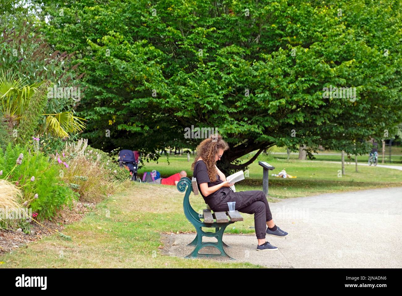 Giovane donna seduta sul panchina del parco leggendo un libro da alberi in estate agosto 2022 Bute Park Cardiff Galles Regno Unito Gran Bretagna KATHY DEWITT Foto Stock