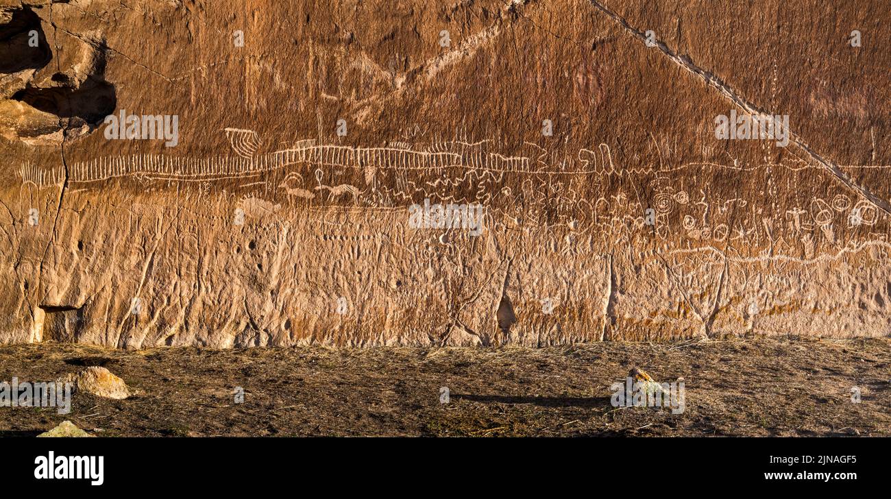 Petroglifi a tufo affioramento, White River Narrows Archaeological District, Valle dei volti, Basin e Range National Monument, Nevada, USA Foto Stock