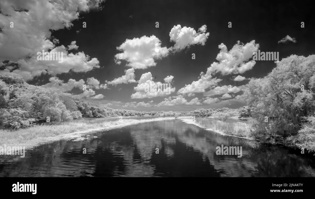 Immagine infrarossa rossa del fiume Myakka nel Myakka River state Park a Sarsota Florida USA Foto Stock