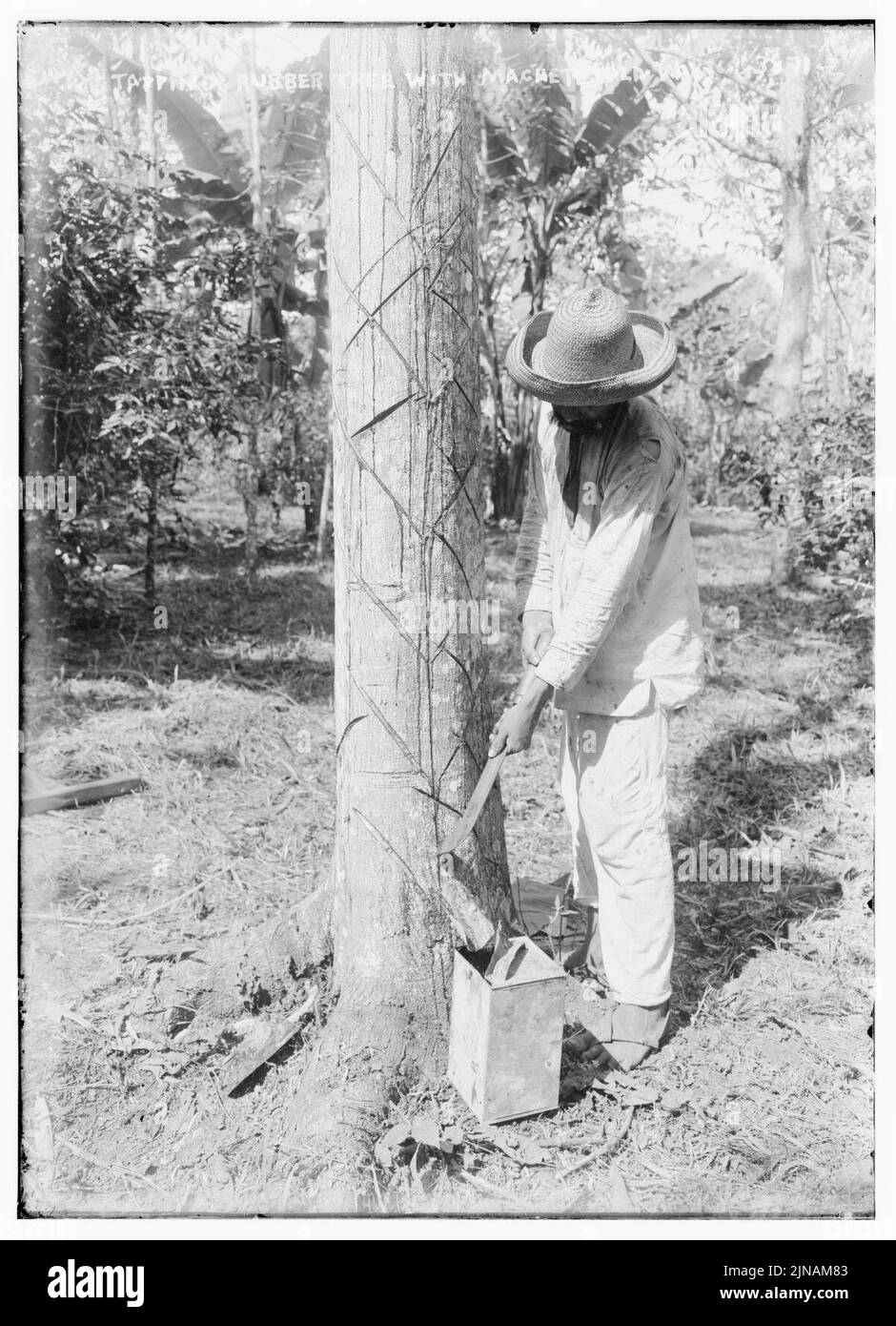 Maschiatura Struttura in gomma con machete (vecchio modo) Foto Stock