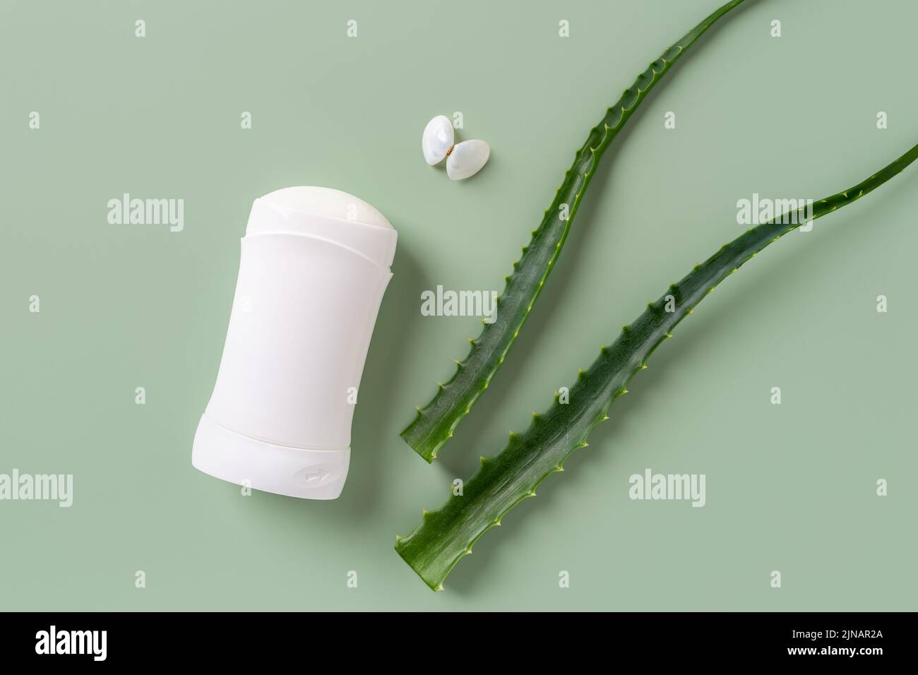 Deodorante antitraspirante solido e farfalla conchiglia di mare vicino a foglie fresche di aloe su sfondo verde pastello. Concetto di prodotti cosmetici naturali a base di erbe. Foto Stock