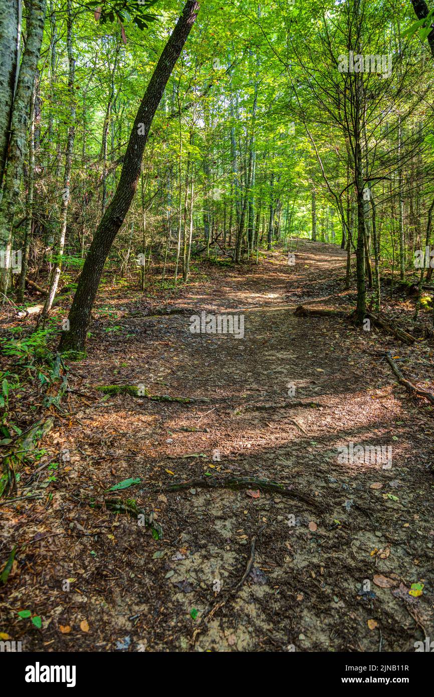 Cimitero nella Cataloochee Valley nella Carolina del Nord occidentale, Stati Uniti Foto Stock