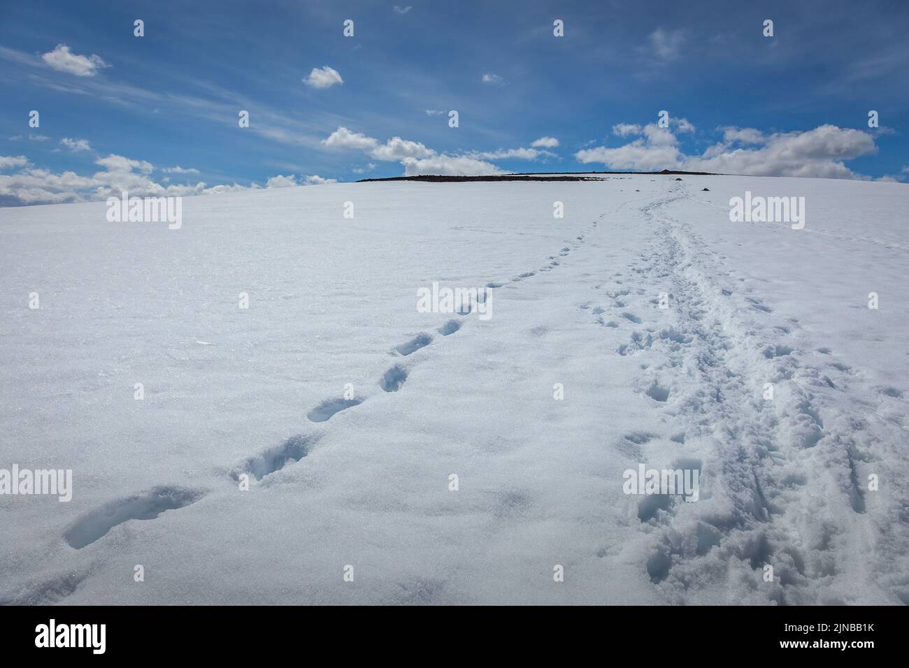 Montagna innevata con orme alpiniste a Jotunheimen, Norvegia Foto Stock