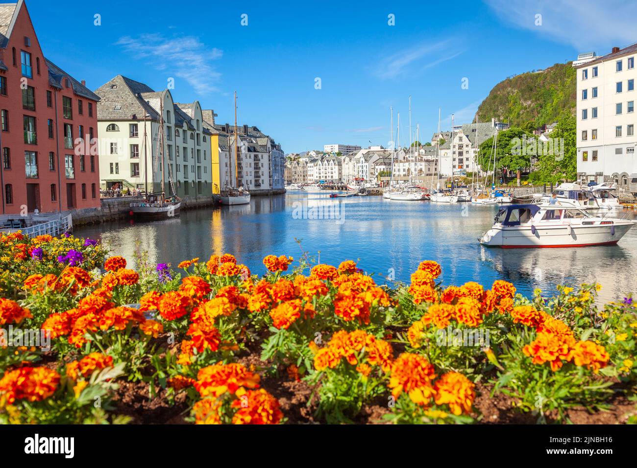 Porto di Alesund con fiori primaverili all'alba, Norvegia, Scandinavia Foto Stock