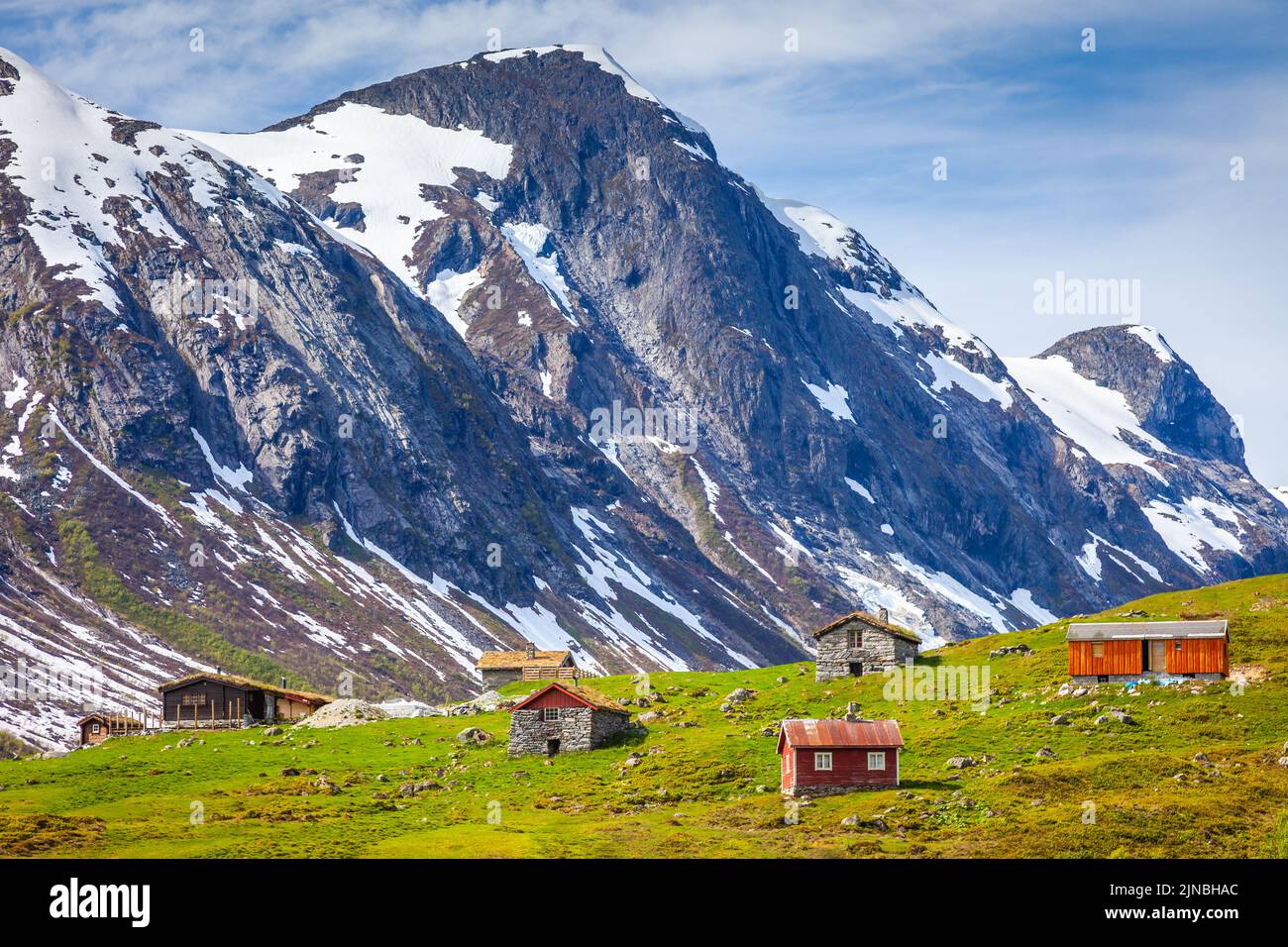 Rorbus rosso nella zona di conservazione di Hardanger, Norvegia, Scandinavia Foto Stock