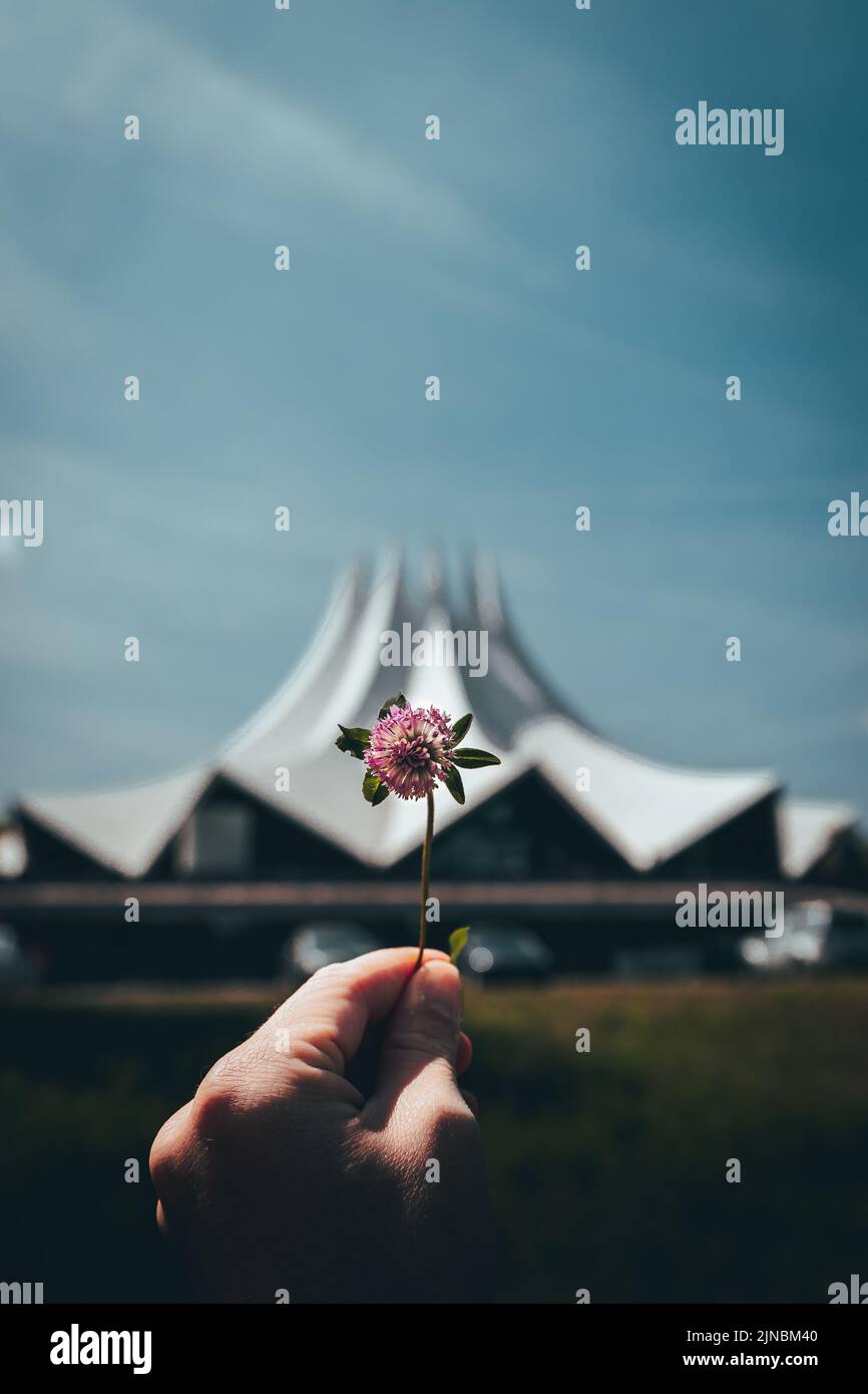 Un colpo verticale di una mano che tiene un trifoglio viola sullo sfondo del Tempodrom a Berlino in una giornata di sole Foto Stock