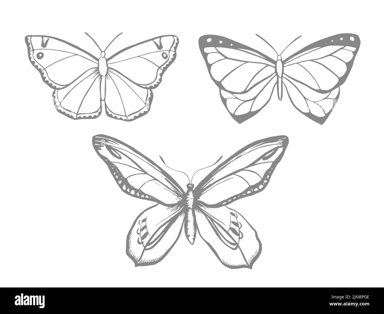 Farfalle stilizzate, arte lineare, illustrazione vettoriale Illustrazione Vettoriale