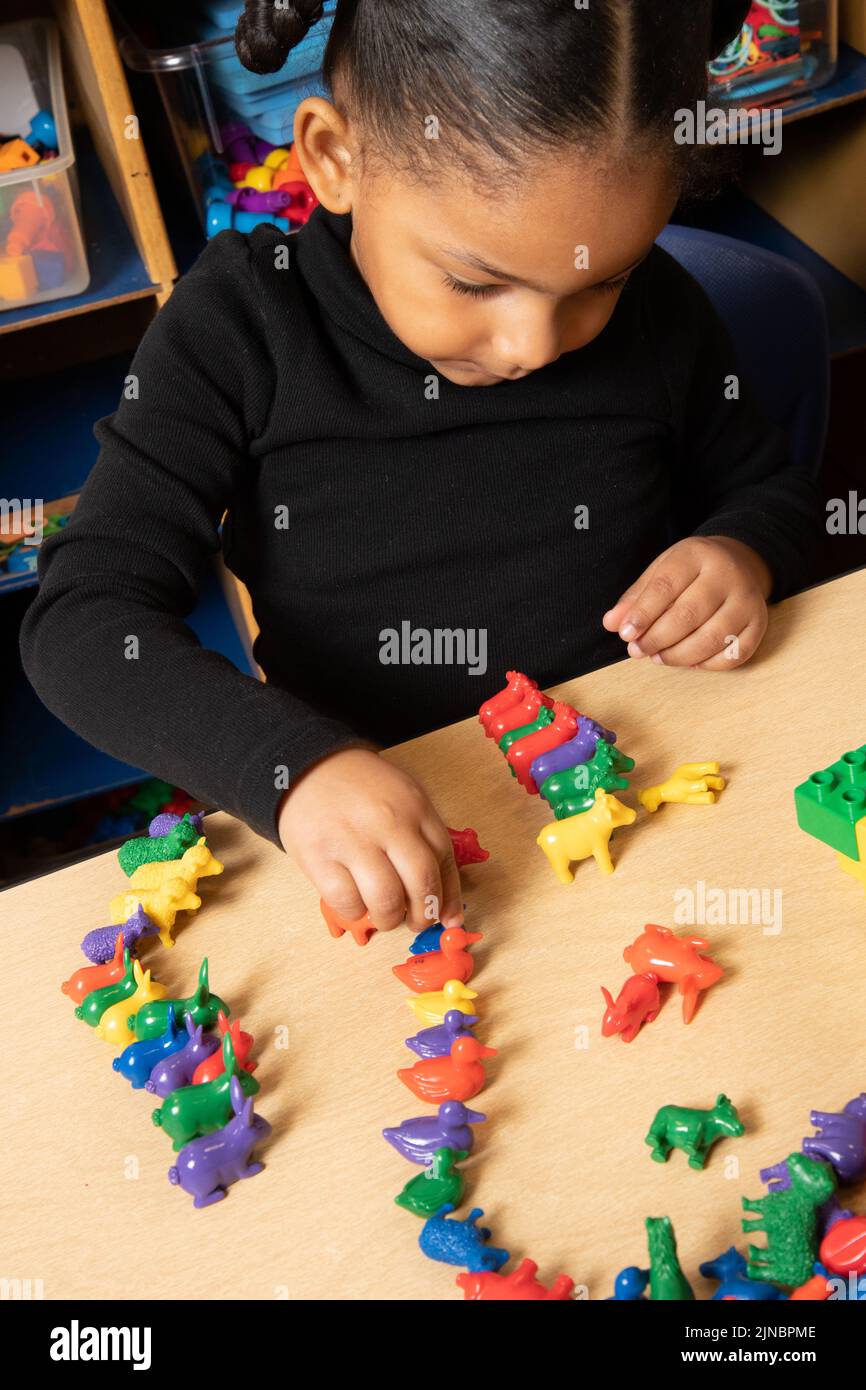 Istruzione prescolare bambina di 3-4 anni che ordina piccoli animali colorati di plastica per tipo di animale Foto Stock