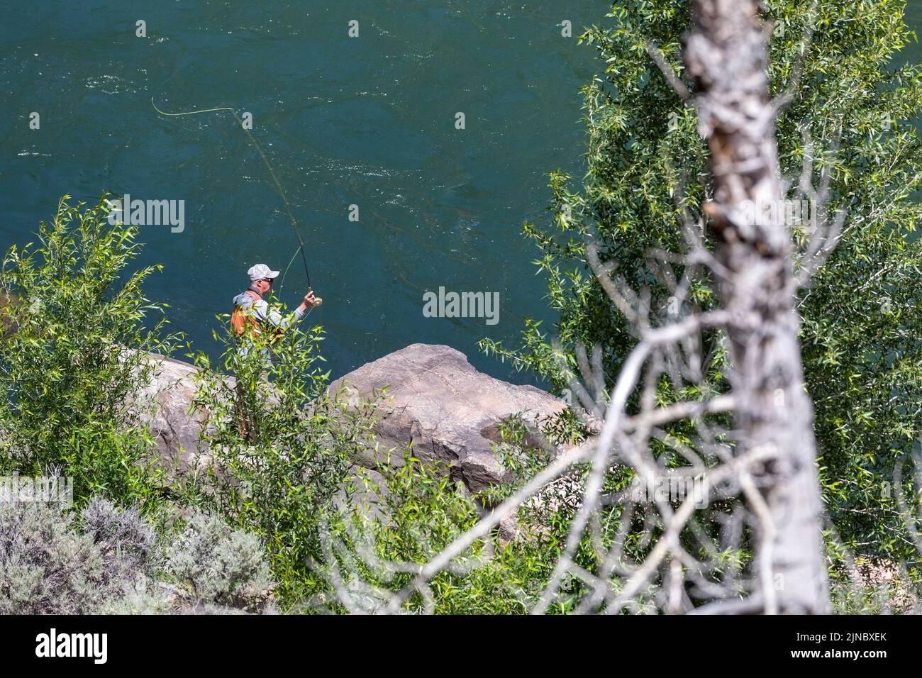 Cimmaron, Colorado - Un pescatore di mosca sotto la diga di Morrow Point sul fiume Gunnison nell'area ricreativa nazionale di Curecanti. Foto Stock