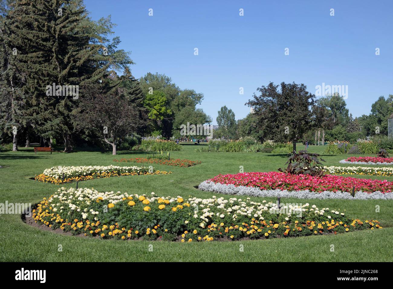 Spazio verde con giardino fiorito in un parco cittadino di quartiere in estate, Riley Park, Calgary, Alberta, Canada Foto Stock