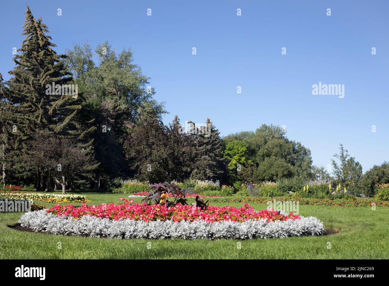 Spazio verde con giardino fiorito in un parco cittadino di quartiere in estate, Riley Park, Calgary, Alberta, Canada Foto Stock