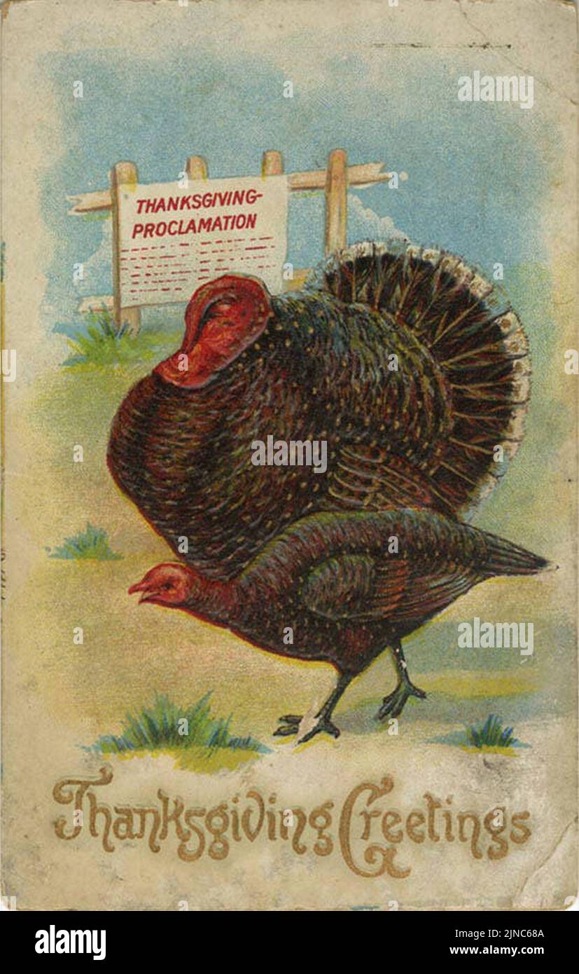 Grazie auguri, due tacchini e un segno proclamazione della Turchia Foto Stock