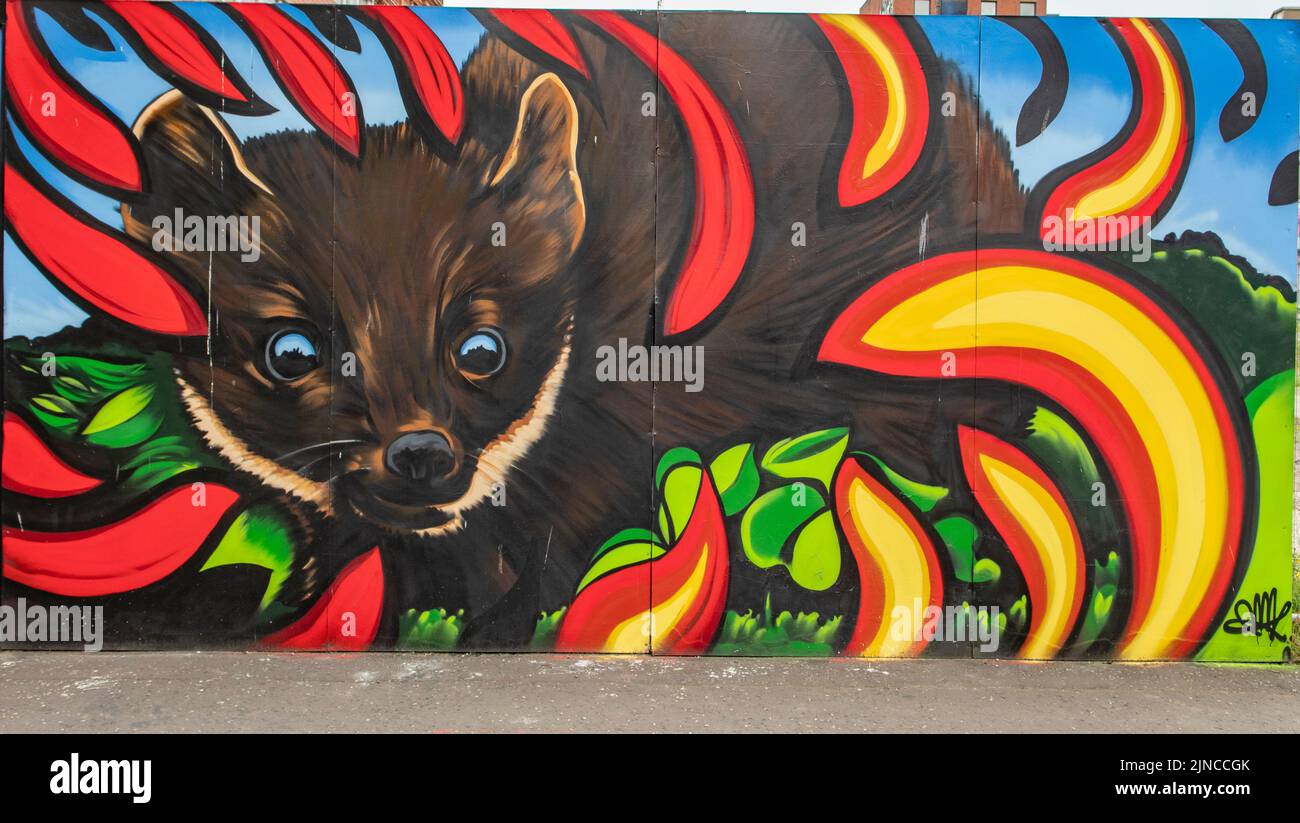 Pine Marten Street Art, Belfast, Irlanda del Nord Foto Stock
