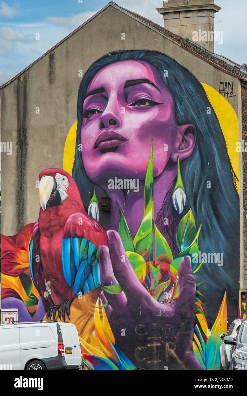 Purple Lady e Macaw Street Art, Belfast, Irlanda del Nord Foto Stock
