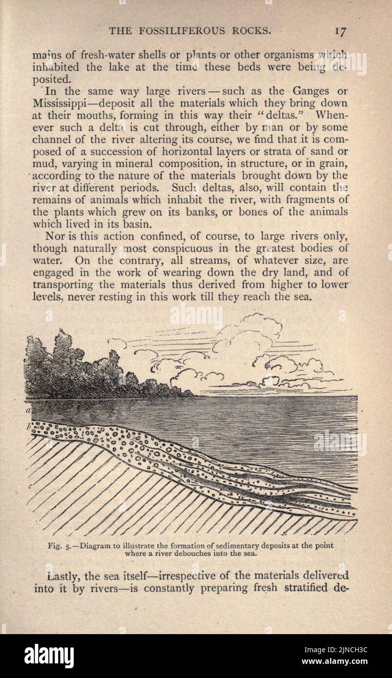 L'antica vita-storia della terra (pagina 17) Foto Stock