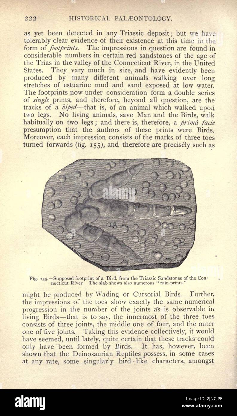 L'antica vita-storia della terra (pagina 222) Foto Stock