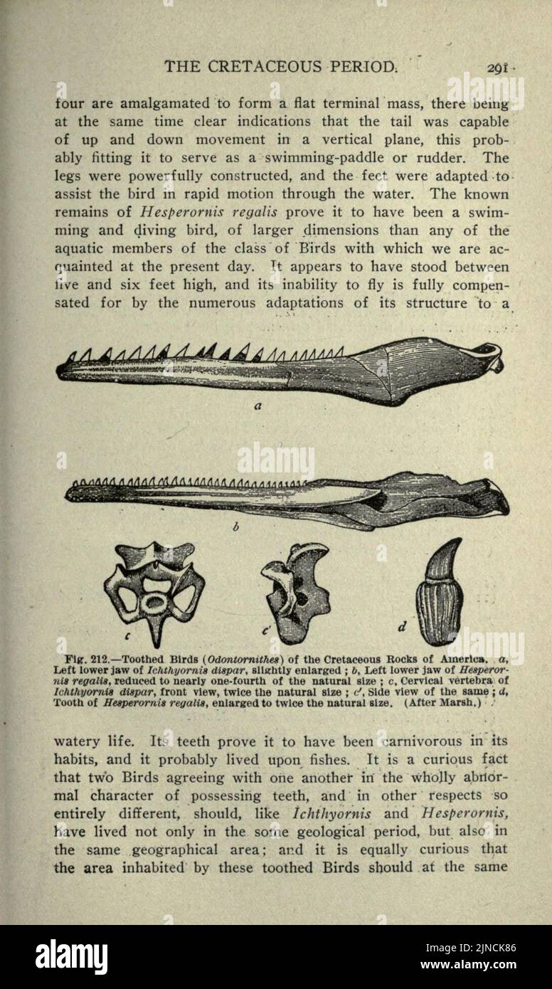 L'antica vita-storia della terra (pagina 291) Foto Stock